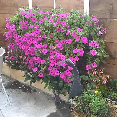 Hospederia Foramontanos Kro 2*