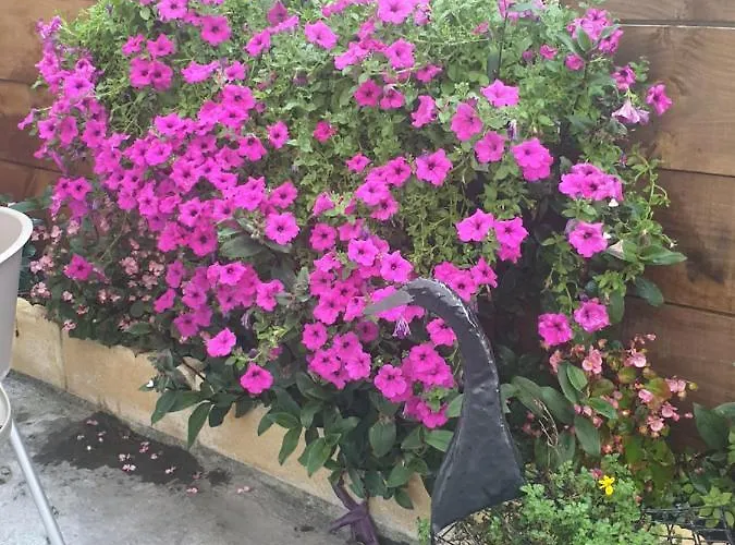 Hospederia Foramontanos אורחן 2*